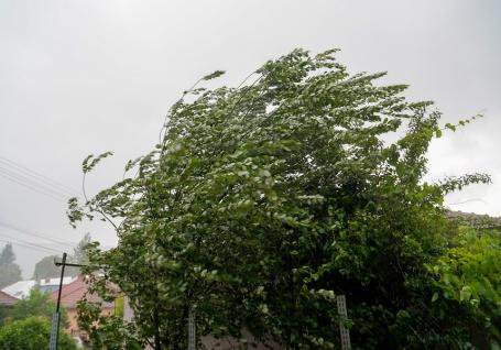 Meteorologii avertizează: vânt puternic în Bihor. Sfaturile pompierilor