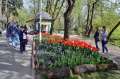 Cadou pentru orădeni: Florarii au dat culoare Parcului Libertăţii (FOTO)