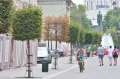 Ne enervează: Copacii 'pătraţi' din centrul Oradiei au fost lăsaţi de izbelişte (FOTO)