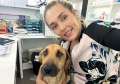 'Nu există câine rău, ci doar plictisit”. Medicul veterinar Daiana Nășcan explică de ce este benefică sterilizarea animalelor