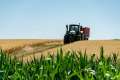 Aprobat de UE: De ce sunt plătiți agricultorii olandezi să-și închidă fermele