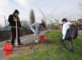 Cercetaşii orădeni, la plantări de arbori pe malul Peţei (FOTO)