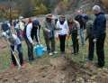 Rotary a plantat nuci şi salcâmi la Finiş (FOTO)