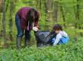 Pentru natură curată: Bihorenii, chemaţi să cureţe gunoaiele din pădurea Săldăbagiu de Munte
