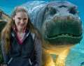 Hipopotamul zâmbicios: când vede bliţul, îşi arată dinţii