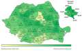 Bacalaureatul în Bihor: Rată de promovare de 82,5%, peste media națională