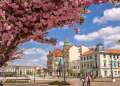 Experience Oradea: Orașul va oferi servicii digitale pentru turiști, create de voluntari