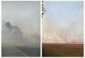 Incendiu de vegetaţie lângă un drum naţional din Bihor (VIDEO)