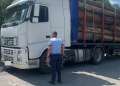 Cum se 'fabrică' acte pentru lemnele furate: Un şofer de TIR din Bihor, prins cu avize măsluite, a fost reţinut și maşina i-a fost confiscată