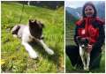 Cățelul salvator. O doctoriță voluntară a Salvamont Bihor se antrenează, alături de câinele ei, pentru a găsi turiști surprinși de avalanșe (VIDEO)