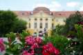 „La vie en rose”. Cvartet de coarde în concert în grădina Palatului Baroc din Oradea