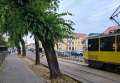 A atacat și tâlhărit un bărbat într-o stație de tramvai din Oradea. Hoțul a fost reținut
