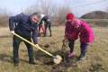 Voluntari pentru natură: Comisarii Gărzii de Mediu şi elevii din Biharia au plantat 100 de copaci (FOTO)