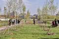 Plantați de dor: Oradea are o mini-pădure în memoria unor oameni dragi, trecuți în neființă (FOTO)