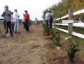 Peste 100 de voluntari, majoritatea localnici în Sîntandrei, au plantat o perdea verde în jurul unei ferme de vaci (FOTO)