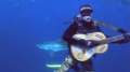 Un bărbat s-a pus să cânte la chitară între rechini (VIDEO)