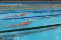 Swimathon Oradea: S-a dat startul înscrierilor pentru înotători