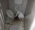 Încă o toaletă publică valdalizată în Oradea, a treia în doar o săptămână! Primăria a depus plângere penală
