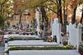 ADP Oradea: Programul Cimitirului Municipal de Paștele Morților