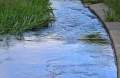 Măsuri anti-secetă în Bihor: ABA Crișuri vrea finanțare europeană de 28,5 milioane de lei, pentru a facilita retenția apei