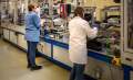 Siemens cumpără o fabrică din Oradea