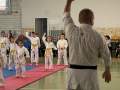 Oradea va găzdui finala Campionatului național de karate tradițional pentru copii