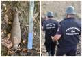 A fost găsită o bombă funcțională într-o pădure din Bihor