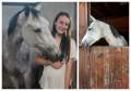 „Mă gândesc la ce e mai rău”: O tânără încearcă să răscumpere un cal vândut în județul Bihor. Își pune la bătaie bursa de la facultate!