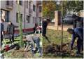 Plantări la Universitatea din Oradea: 100 de copaci tineri, sădiți în campusul central (FOTO)