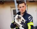 Pisică salvată de pompierii din Oradea, după ce a rămas blocată între două clădiri
