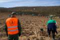 Luna plantării arborilor în Bihor: Ce suprafețe și-a propus Direcția Silvică să împădurească