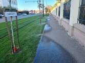 Ne enervează: „Băiță” pe picioare, asigurată gratuit de sistemul de irigare al Primăriei (FOTO)