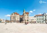 Visit Oradea oferă tururi ghidate gratuite în perioada iunie - septembrie 2024