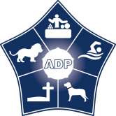 ADP Oradea caută administrator rețea IT