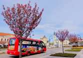 Program autobuz turistic OTL în perioada 26 - 28 mai 2023