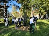 „Plantăm viitorul”: Elevi, studenți și profesori au sădit arbori în campusul Universității din Oradea (FOTO)