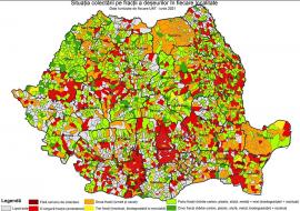 Judeţ pe 'verde': Cu o treime din deşeuri colectate separat, Bihorul e fruntaş în ţară. Ce planuri mai au autorităţile