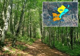 Pădurea noastră: Oradea are propria pădure, întinsă pe mai bine de 300 de hectare, dincolo de Paleu