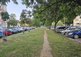 Oradea mai verde, la vot: Ce proiecte „verzi” propun orădenii în bugetarea participativă din acest an