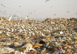 Reciclare cu deficit: Pandemia de Covid-19 a pus piedici şi în reciclarea deşeurilor orădenilor