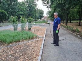 Episcop grădinar: PS Böcskei László, surprins în timp ce uda florile, pentru ca angajații să poată merge la ștrand