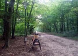 Deci, se poate! Pista de alergat din pădurea Felix, dotată cu bănci, coșuri de gunoi și iluminat