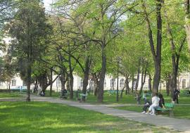 Viitorul este verde! Ce prevede noua strategie verde pe următorii 10 ani în Oradea