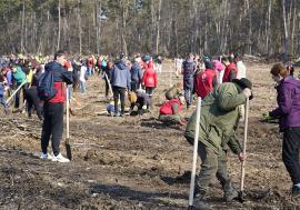 O pădure de la zero: Haideţi la Leş, pe 18 martie, să plantăm 25.000 de copaci!