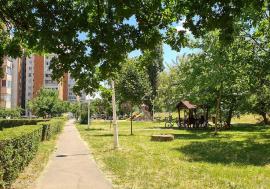 Responsabili de „verde”: Oradea are un nou regulament pentru îngrijirea spaţiilor verzi. Care sunt obligațiile pentru orădeni?