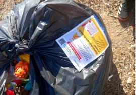Reciclare fără greșeli: Controale făcute în jurul Oradiei arată cele mai frecvente erori la colectarea plasticului și a metalului