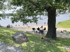 Copaci cu drepturi: Un oraș din Canada a recunoscut oficial arborii ca ființe vii