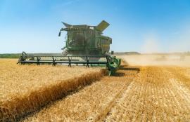 Fără prelungire la APIA: fermierii din Bihor mai au 4 zile să-și depună cererile pentru subvenții