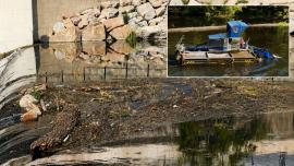 Seceta schimbă Crișul Repede în Oradea: crengi, trunchiuri și plante au ieșit la vedere (FOTO)
