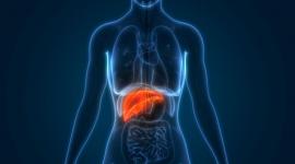 Afecțiunile ficatului: hepatita cronică. Ce trebuie să știi